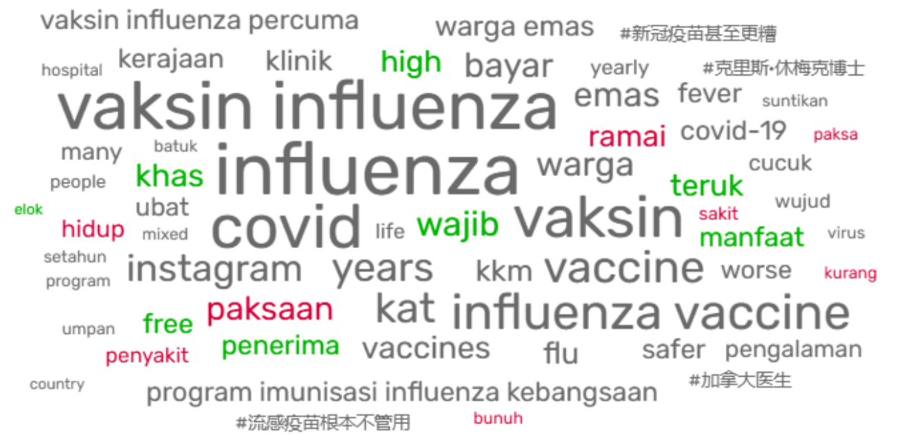 word cloud analysis on influenza vaccine