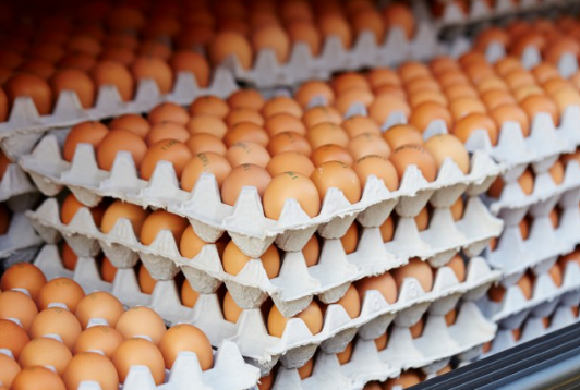 How Malaysians Reacted to the Egg Subsidy Cut