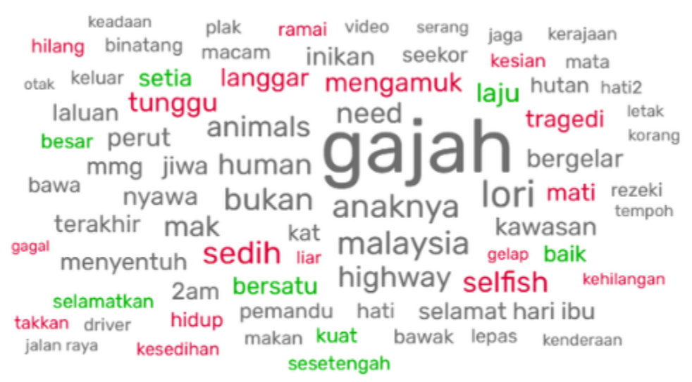 Word cloud analysis on Gerik's calf passed away on Mother's Day.