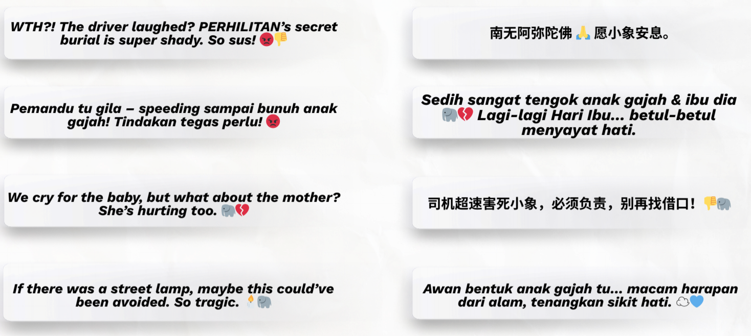 Malaysian netizens' reactions to Gerik's calf passed away on Mother's Day.