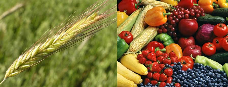 Malaysia food crisis highlights cost pressure, rice shortage and need for urgent supply chain fixes.